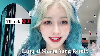 Download Lang Ai Shang Yang Remix  ( Dj QT Mix ) MP3