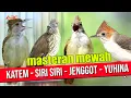 Lagu MASTERAN KAPAS TEMBAK - SIRI SIRI - CUCAK JENGGOT - YUHINA