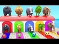 Lagu Long Slide Game With Cow Elephant Gorilla Hippopotamus Tiger - 3d Animal Game - Funny 3d Animals