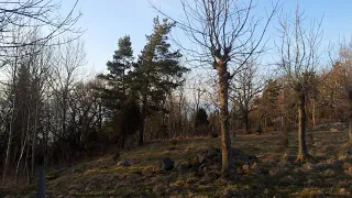 القلب المفتوح ماجدة الرومي 