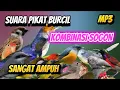 Download Lagu PIKAT BURCIL KOMBINASI SOGON RIBUT DAN  RIBUT MP3 ANTI ZONK SUARA JERNIH