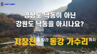 경상도 낙동이 아닌 강원도 낙동을 아시나요? (지장천을 따라 동강 가수리까지) 썸네일