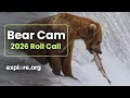 Brown Bear Roll Call