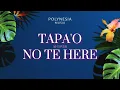 Lagu TAPA'O NO TE HERE • POLYNESIA MUSIX | AI COVER [ ORIGINAL - TAPUARII LAUGHLIN ]