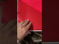 CDA Portfolio