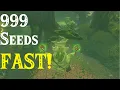 New FASTEST Korok Seeds Glitch 999 Seeds in only 10 Minutes TUTORIAL in Breath of the Wild