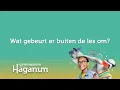 Lagu Gymnasium Haganum - 10 - Wat gebeurt er buiten de les om