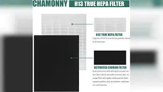 Overview D480 True HEPA Replacement Filter D4 Compatible with Winix D480 Air Purifier Compare