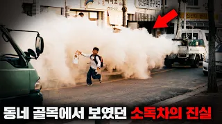 신이 내린 기적의 살충제, 'DDT'의 숨겨진 이야기들 [사건사고]