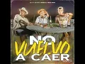 La T y La M & Homer El Mero Mero - No Vuelvo A Caer (Audio)