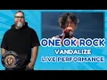 Download Lagu One Ok Rock - Vandalize (Live Luxury Disease Japan Tour 2023) First Time Reaction
