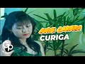 Download Lagu Anie Carera - Curiga