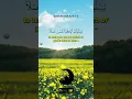Download Lagu Surah Al-Mulk Ayah 1-2 | Akram Al-Alaqimy #shorts