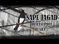 Download Lagu DURASI POLL KACER SAPU JAGAD MILIK JAKA JUARA 2 DI KMT BC CUP 1 LAPANGAN BURUNG SEBEDANG