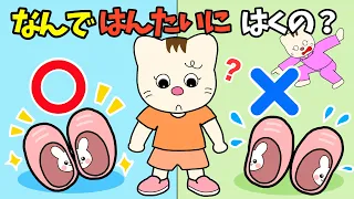 【アニメ 絵本読み聞かせ】靴を反対にはく子供の物語〜なんではんたいにはくの?〜