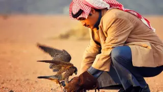 عبدالعزيز العصفور يا انا يا انت 