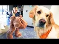 DOG TOY COMES TO LIFE Giant 6ft Teddy Bear