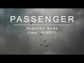 Lagu Passenger | Beautiful Birds (feat. Birdy) (Official Album Audio)