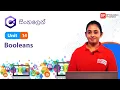 Unit 14 Booleans C