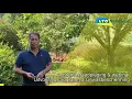 Download Lagu Jan Veltmans over Uitvoeringsprogramma Gewasberscherming