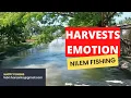 Lagu Nilem Fishing on Harvest Emotions #mancingnilem