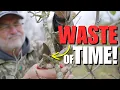STOP wasting your TIME growing FRUIT TREES Do THIS instead