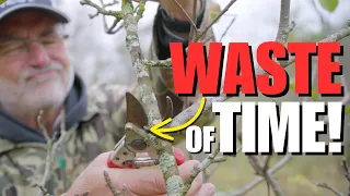 Download STOP wasting your TIME growing FRUIT TREES, Do THIS instead! MP3