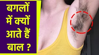 Why do armpits grow hair You ll be surprised to know the reason behind it Boldsky