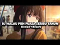 Download Lagu DJ WALAU PUN PUASA SERIBU TAHUN (Slowed + Reverb) 🎧