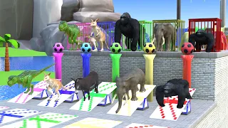 🦍 Wild Animal Escape & Rescue Adventure! Who Will Succeed? 😲 | Long Slide Game | Animal Crossing