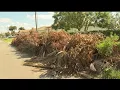 Irma debris pickup slow going in Charlotte County