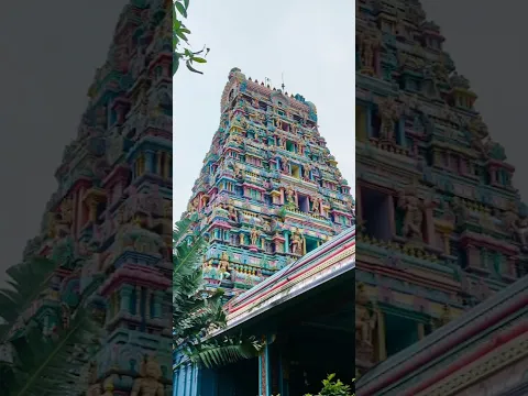 மேற்கு நோக்கி பக்தர்களுக்கு காட்சியளிக்கும் சிவபெருமான்- Smashing TV
