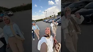 يوم جديد في حيات شماشيمو 