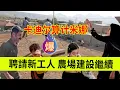 Download Lagu 聘请新工人，农场建设继续。卡迪尔算计米娜。伊朗女人米娜纪录片最新后续