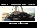 South County Animal Hospital - Vet