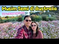 Download Lagu Berdua Dengan Istri Mampir ke MACARTHUR SQUARE MALL Lanjut ke AUSTRALIAN BOTANIC GARDEN MOUNT ANNAN