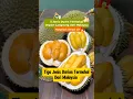 Download Lagu 3 Jenis Durian Termahal di Malaysia ‼️ Harga yang Bikin Kaget #durian #durianblackthorn #buah MP3