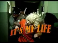 Download Lagu No Doubt - It's My Life Official Music Video