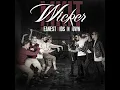 Wicker - Static On the Radio