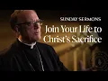 Download Lagu Join Your Life to Christ’s Sacrifice - Bishop Barron's Sunday Sermon