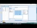 Compute Variable SPSS