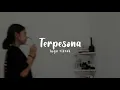 Download Lagu Story Whatsapp 30 detik 🔊 Terbaru Lagu TERPESONA - [Link Mediafire 👇👇]