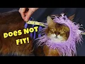Worst-Fitting Cat Costume Ever Measuring the FAIL Fashion Fix