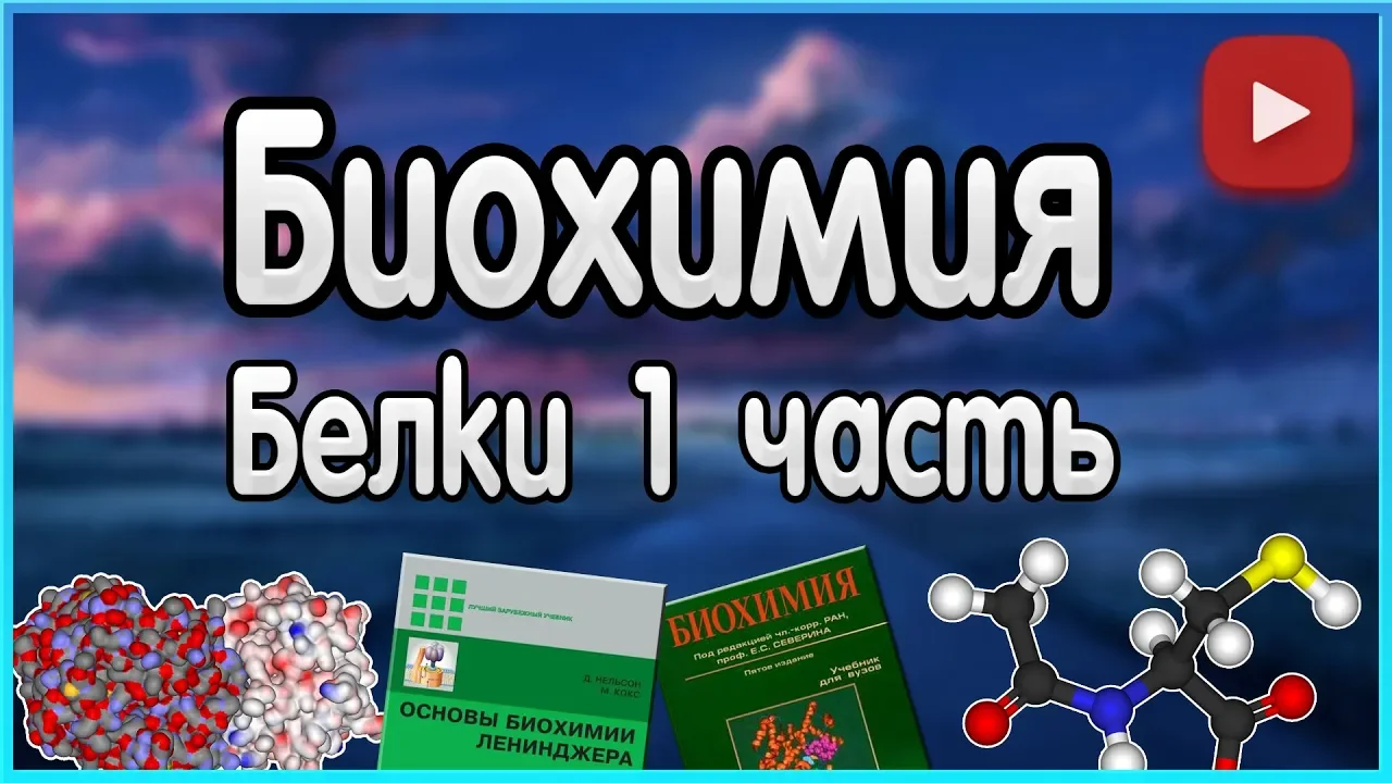 Биохимия. Лекция 2. Белки. Уровни организации белков. Функции белков.