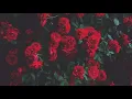 Ruelle | Like you mean it | lyrics