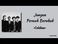 Download Lagu Jangan Pernah Berubah - Coldiac | Lirik Lagu