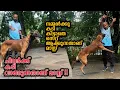 Download Lagu Psycho Mali ചെക്കൻ || Leonardo Voila