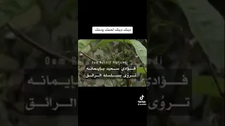 رضيت برب الورى خالقي  كلمات طاهر الحسني  بصوت سعيد البحري دندنها