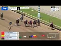Gulfstream Park August 9 2026 Race 5