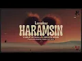 ilkermirac, Beste Krizi, Yusuf Eynallı - HARAMSIN (Psychedelic Anatolian Electro Folk Cover)